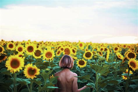 sunflower_b nude